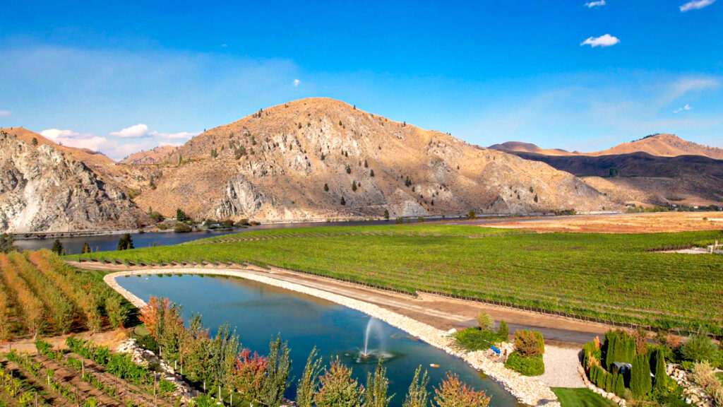 drone shot of rocky pond vineyard